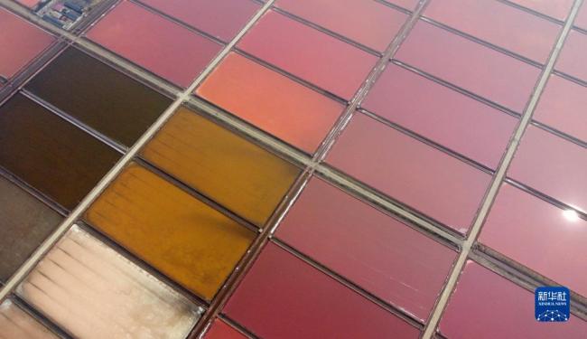 天津:千年鹽場迎豐收